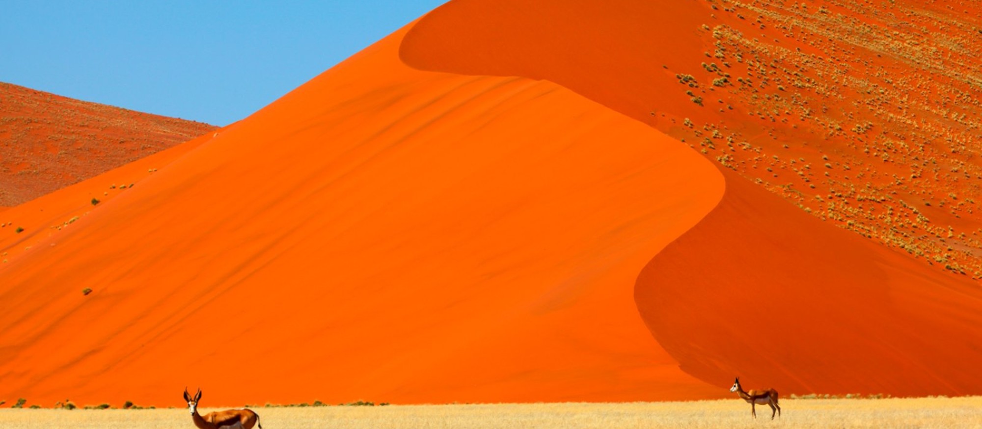 Dune di sabbia, Namib