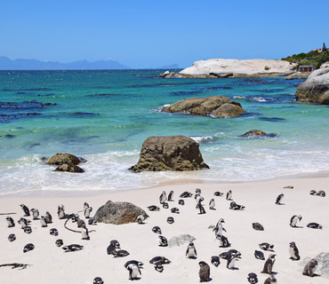 bouders beach sudafrica