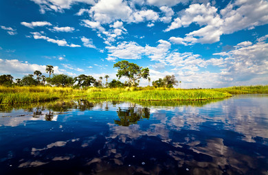 Delta Okavango