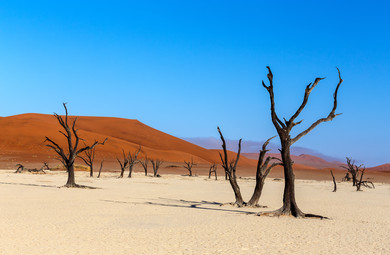 Parco del Namib