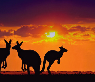 kangaroo island